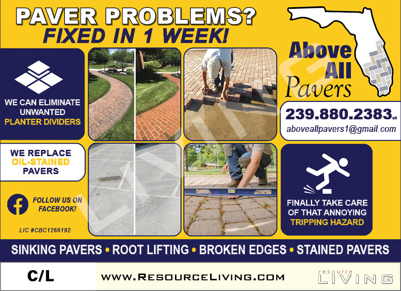 Advertisement 1