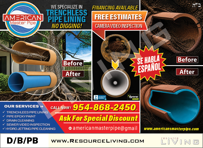 Advertisement 1