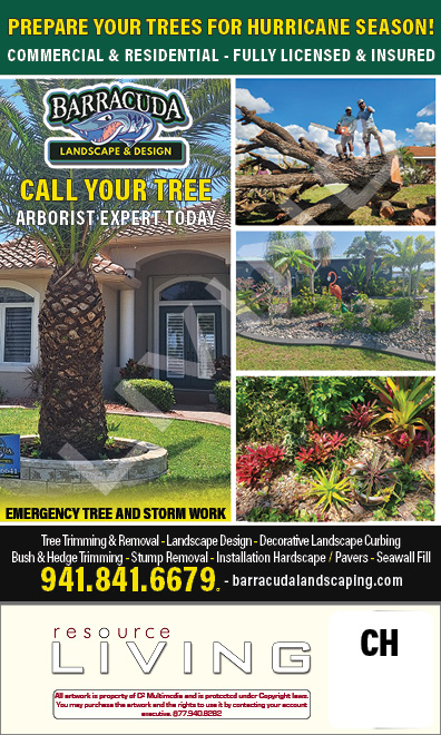 Advertisement 1