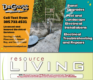Advertisement 1