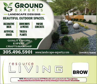 Advertisement 1