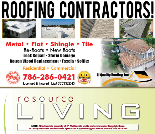 Advertisement 1