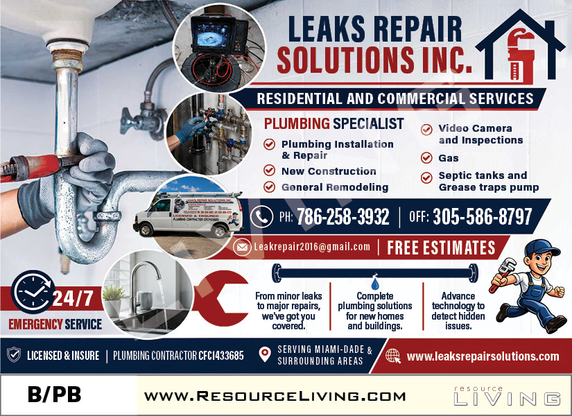Advertisement 1