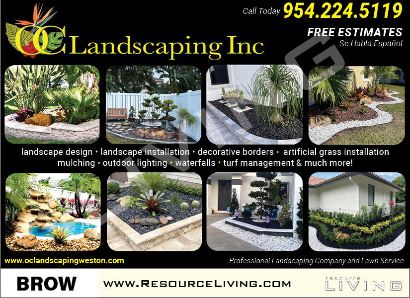 Advertisement 1