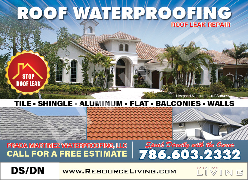 Advertisement 1