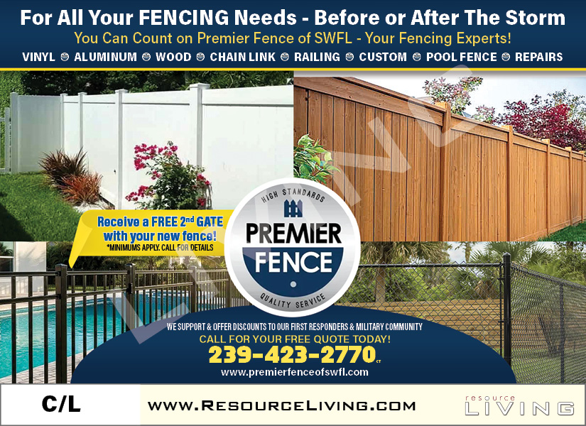 Advertisement 1