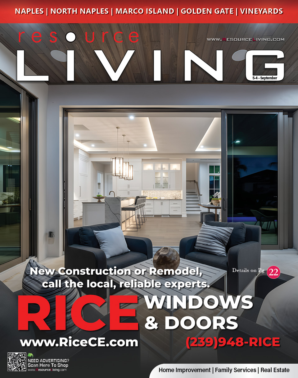 Advertisement 3